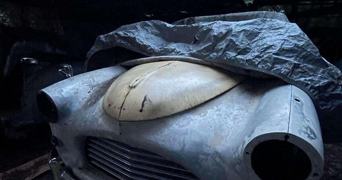 Car graveyard full of abandoned classic cars worth '£200,000'