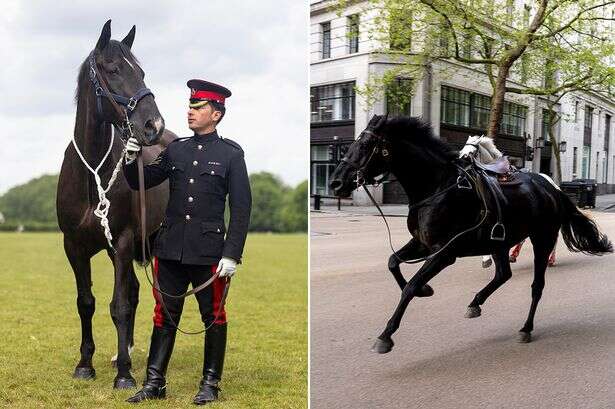 'Dark omen' horses that ran loose through London make Trooping the Colour return