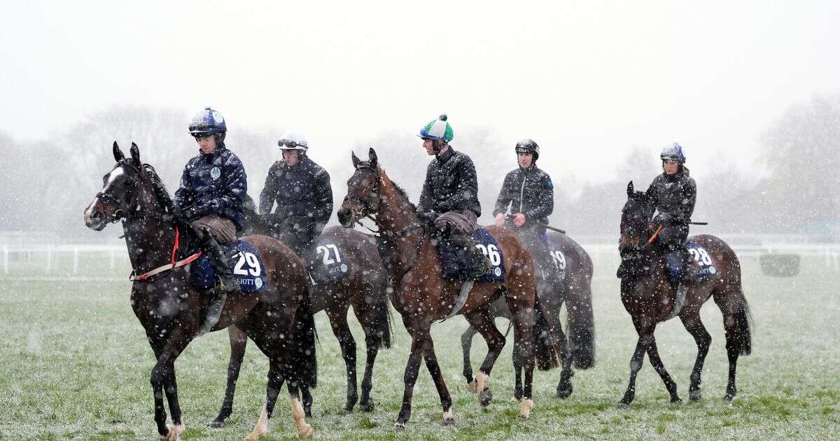 Cheltenham snow chaos as Day Two of racing festival hit by surprise weather