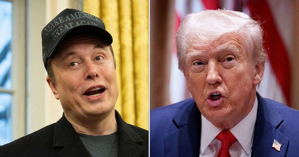 Donald Trump hails 'Truly great American' Elon Musk in mad rant promising to 'buy new Tesla'