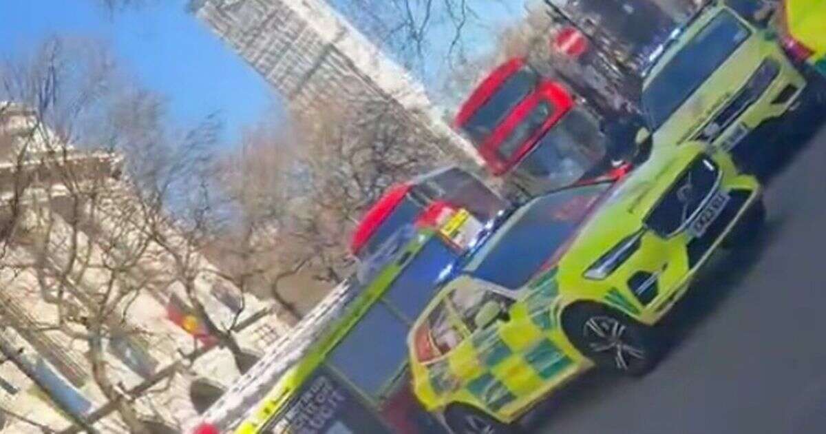 King's College London crash: Van 'ploughs into pedestrians' as armed police pour into street