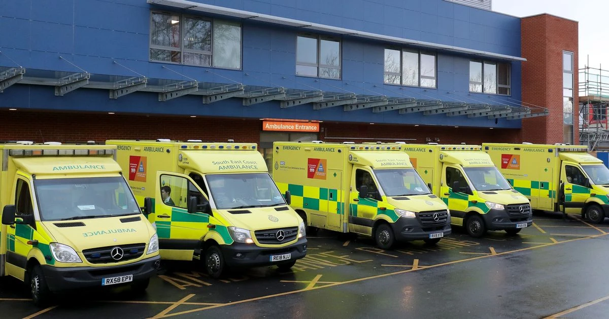 Bed-bound A&E patients told to 'soil themselves' as staff too busy to take them to loo