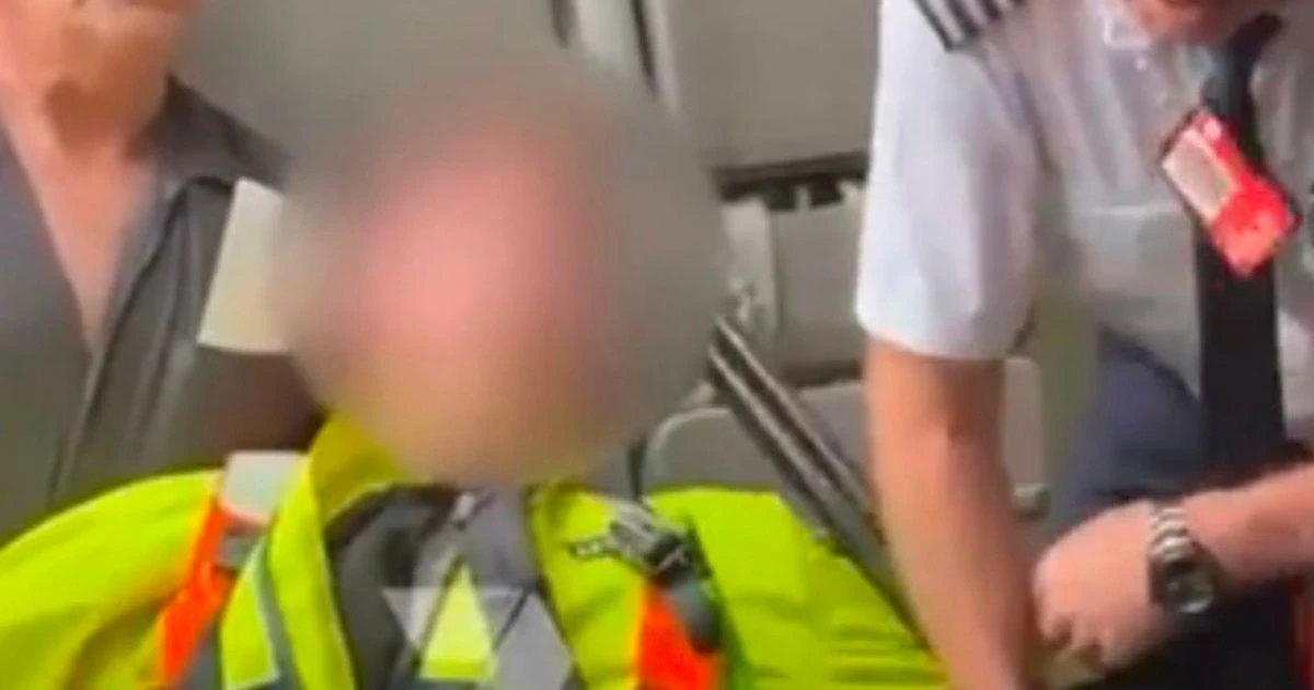Teen 'with shotgun's chilling six words' before being tackled by pilot on JetStar plane