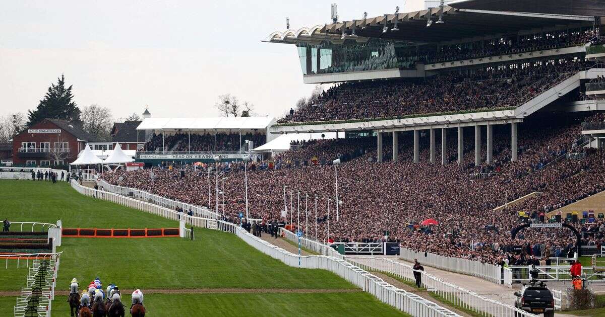 Cheltenham 2025 Tuesday tips: Best bets and Newsboy's 1-2-3 for every race