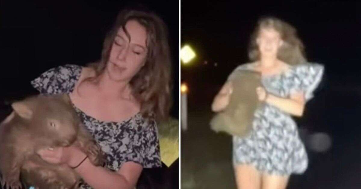 American influencer snatches baby wombat from its mother in 'heinous act' for video