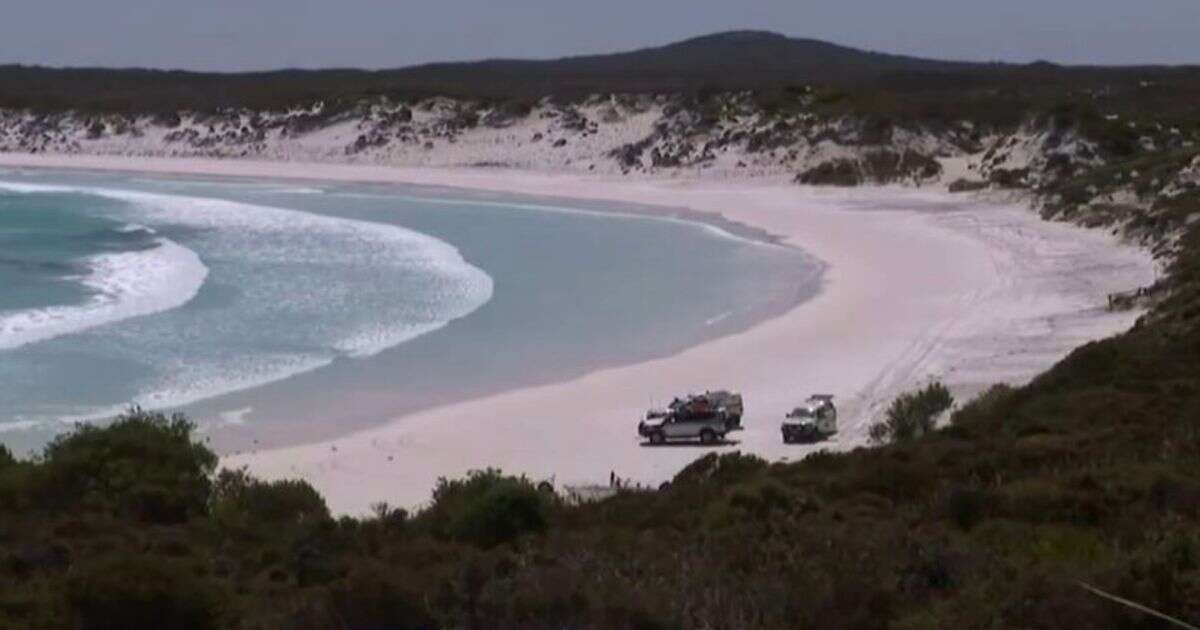 Shark attack horror as drone footage captures missing surfer being killed at Australian beach