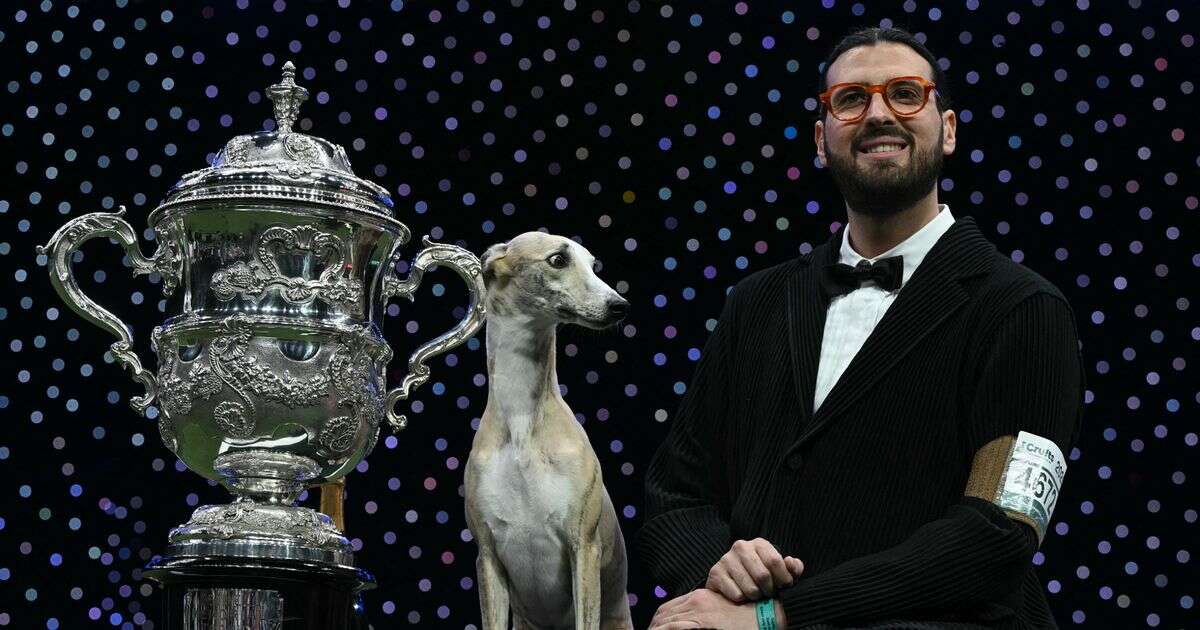 What does Crufts winner get as Best in Show dog whippet Miuccia leaves fans divided