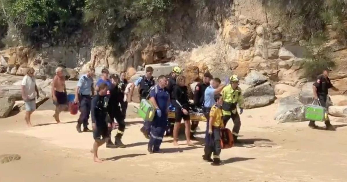 Horror shark attack leaves woman fighting for life after having huge chunk bitten off leg