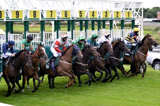 Course specialist to win for seventh time at track – Jason Heavey's Wednesday racing tips