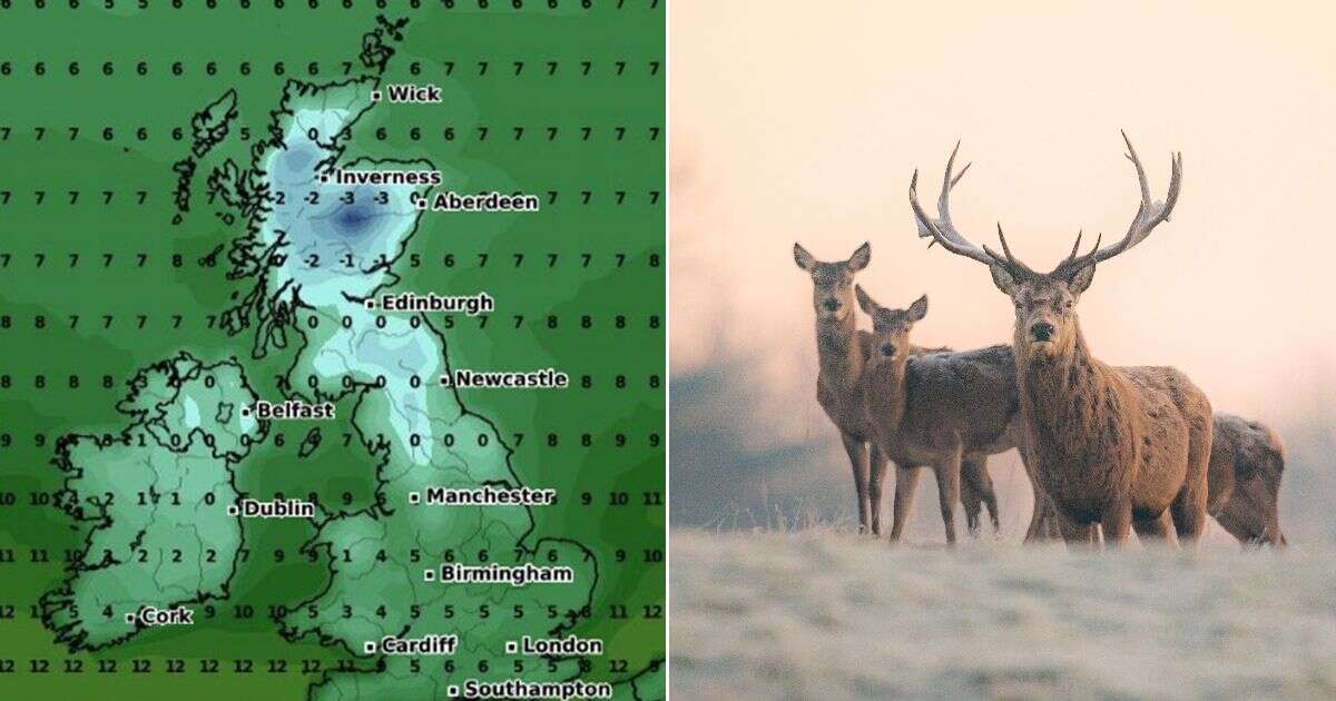 Weather map shows four-day freeze set to blast Brits with icy temperaturesWeather