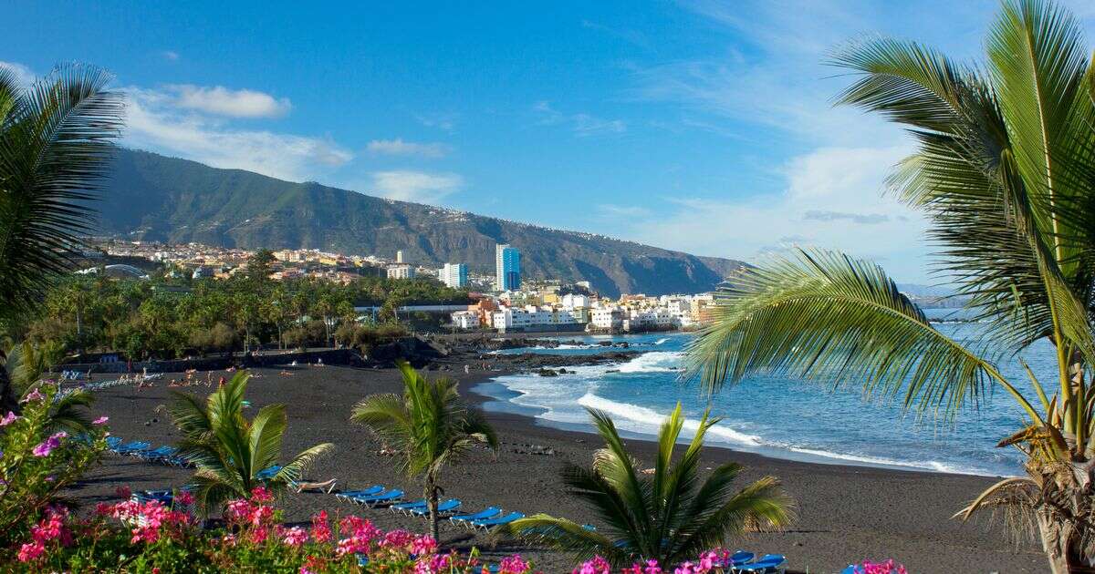 Brit tourists banned from the sea on one of best beaches for winter sun