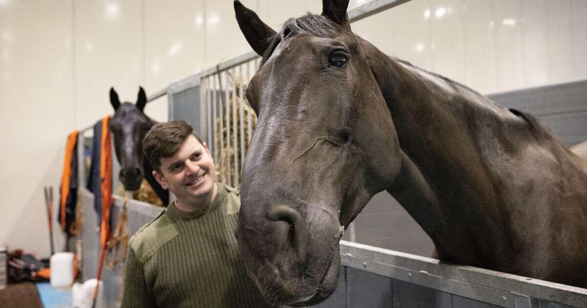 Horse who led Queen's coffin procession given extra special honour