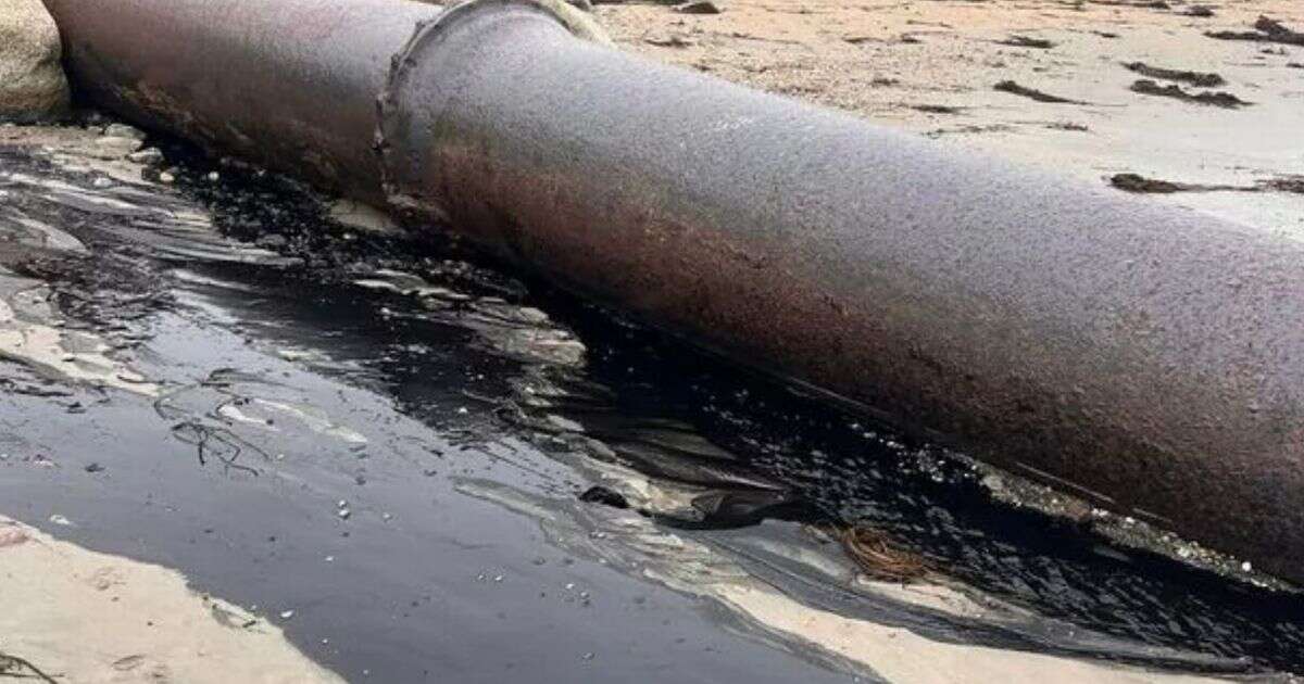 Pipe leaking 'absolutely stinking' liquid on Cornwall beach investigated by Environment Agency