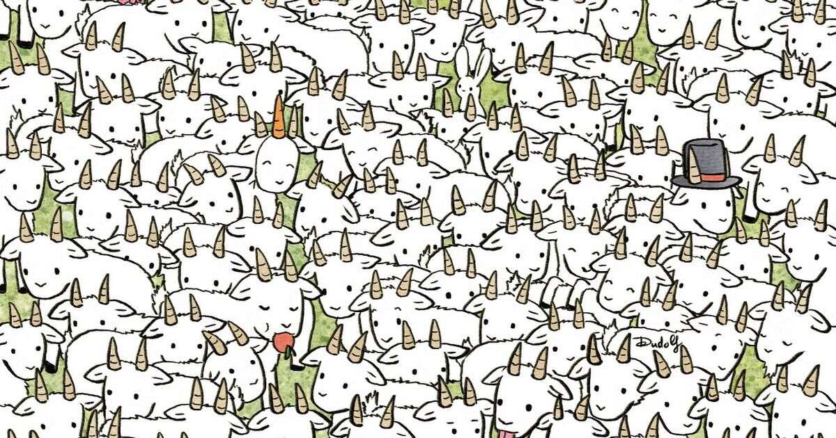 Only the very cleverest can find the goat among the herd of sheep in less than a minute