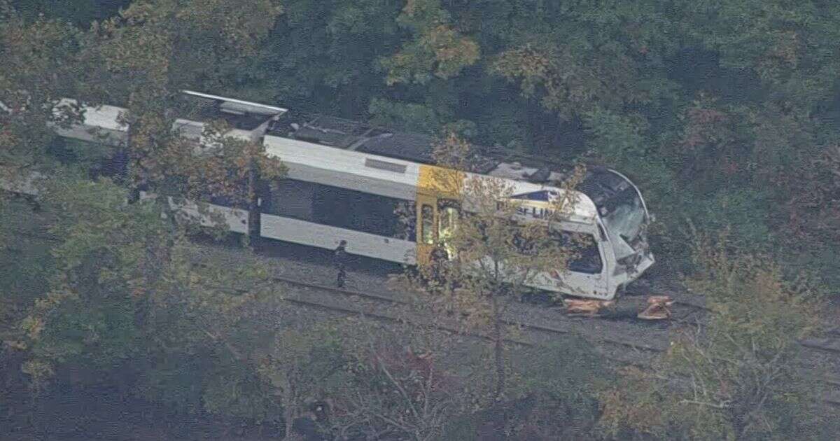 River Line crash: Multiple passengers injured and one dead as train crashes into tree