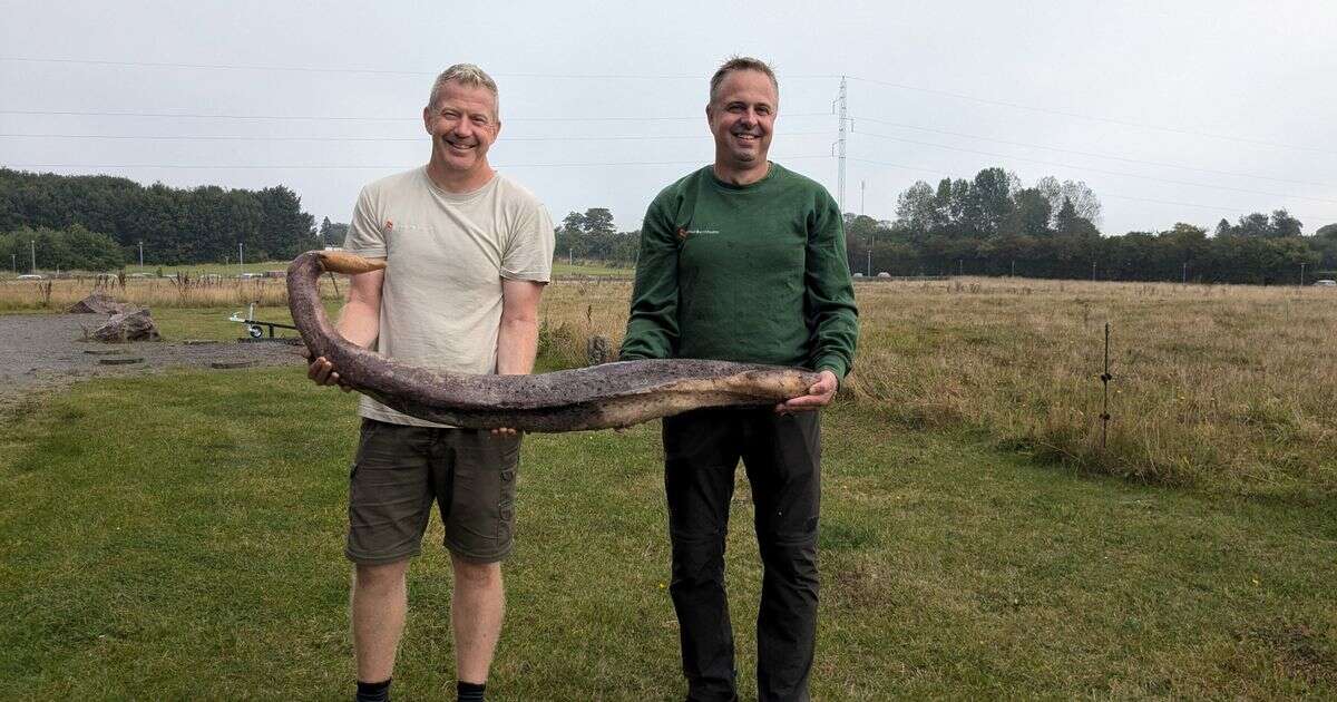 Giant mystery object found on beach turns out to be something rather rude