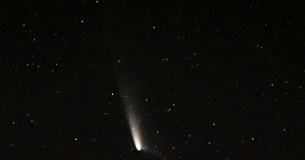 How to see Comet A3 if you missed it - but you only have days left