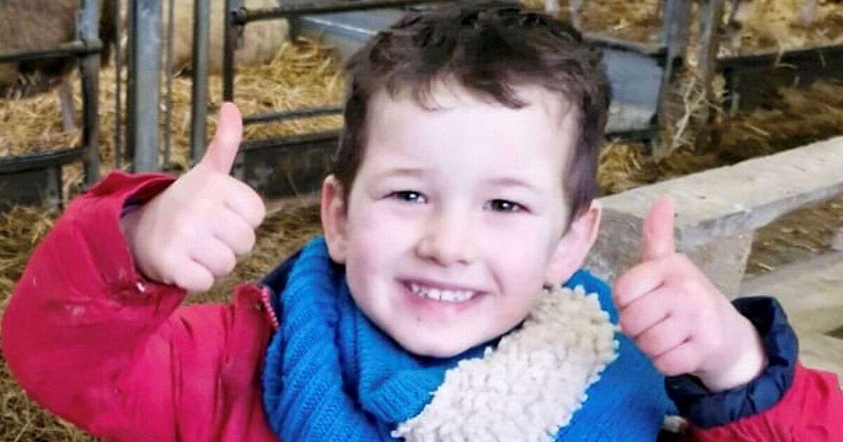 Mum's four heart wrenching words after 'keen little farmer' killed in garden accidentInquests