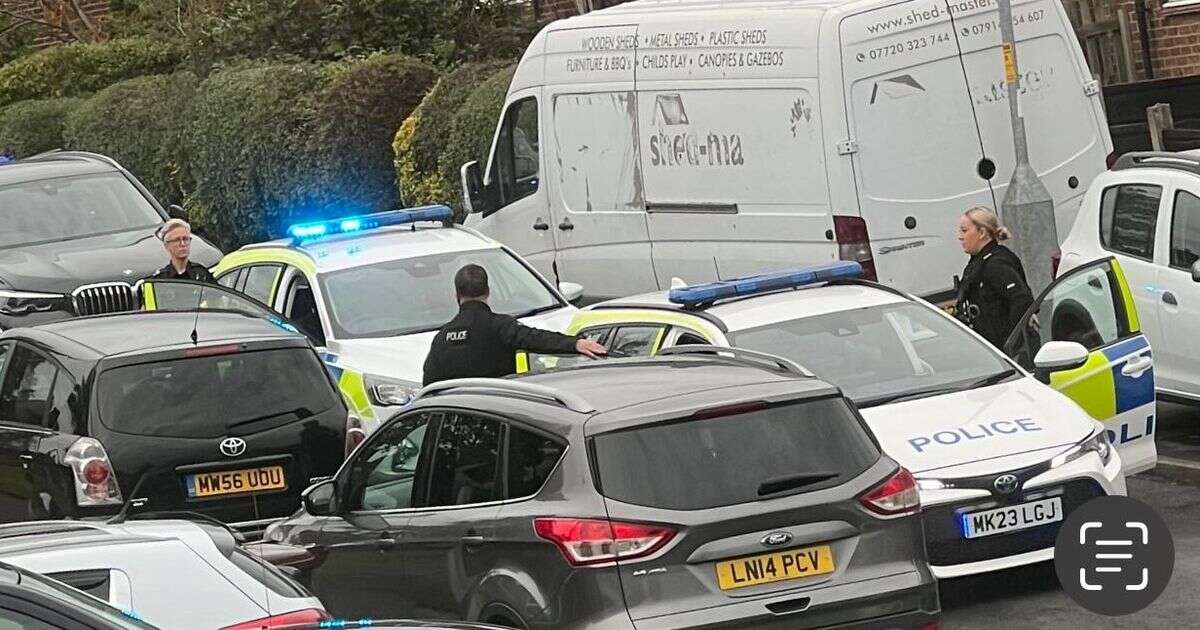 Stalybridge dog attack sparks armed police raid as locals told 'stay indoors' over escaped pet