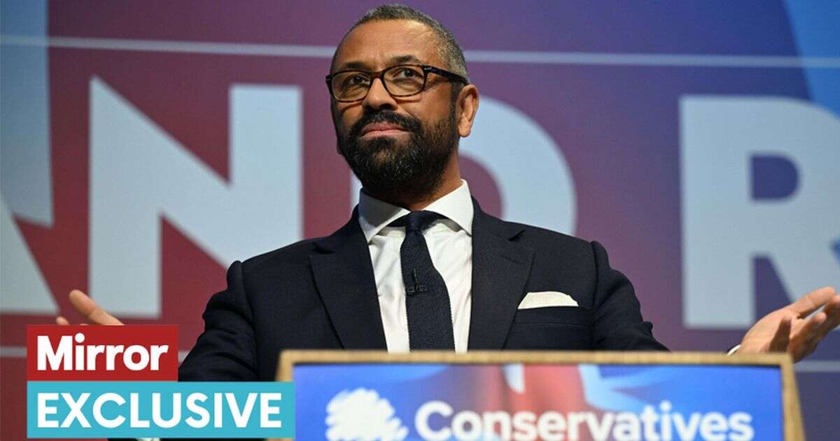 Tory James Cleverly backed rich pensioners losing winter fuel payments - now says idea 'toxic'James Cleverly