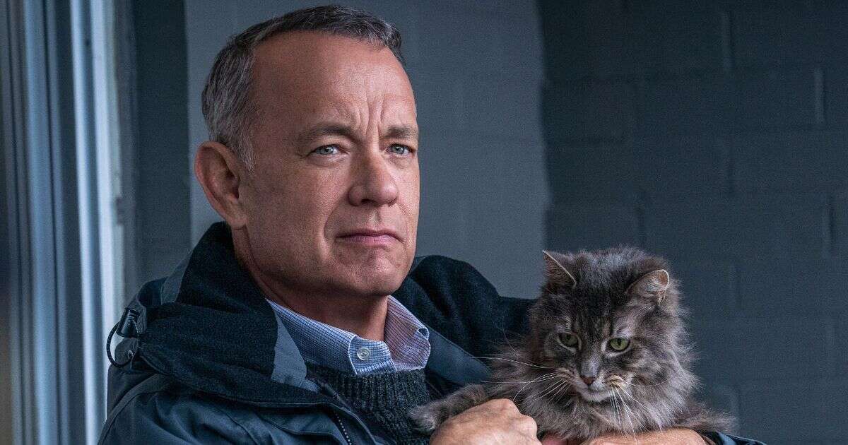 Netflix fans left bawling over new Tom Hanks movie that's 'wrongly billed' as a comedyTom Hanks