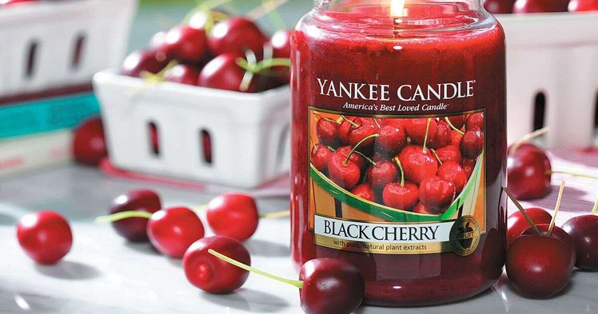 ‘One my favourite scents’ Yankee Candle Black Cherry that’s ‘always sold out’ has 30% off