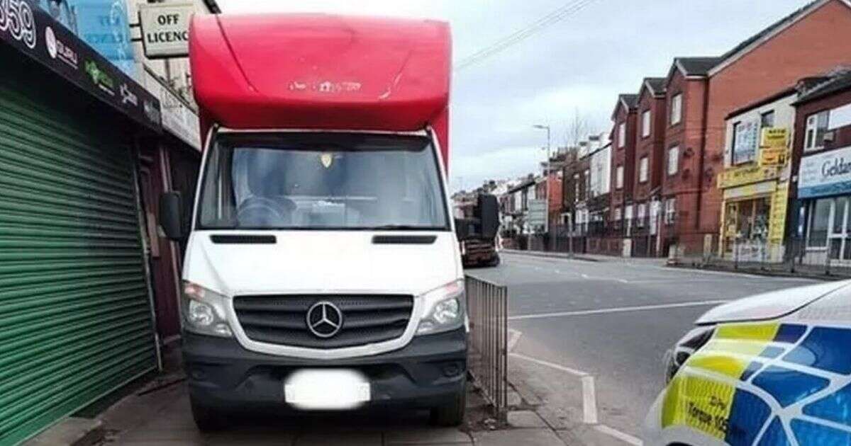 Van driver displays 'most inconsiderate parking job' police have ever seen