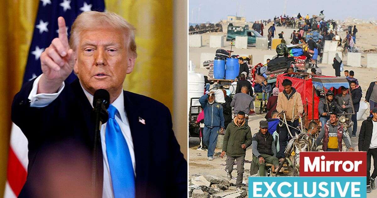 Donald Trump's 'messianic' urge to claim Gaza peace 'is spreading chaos all over the place'