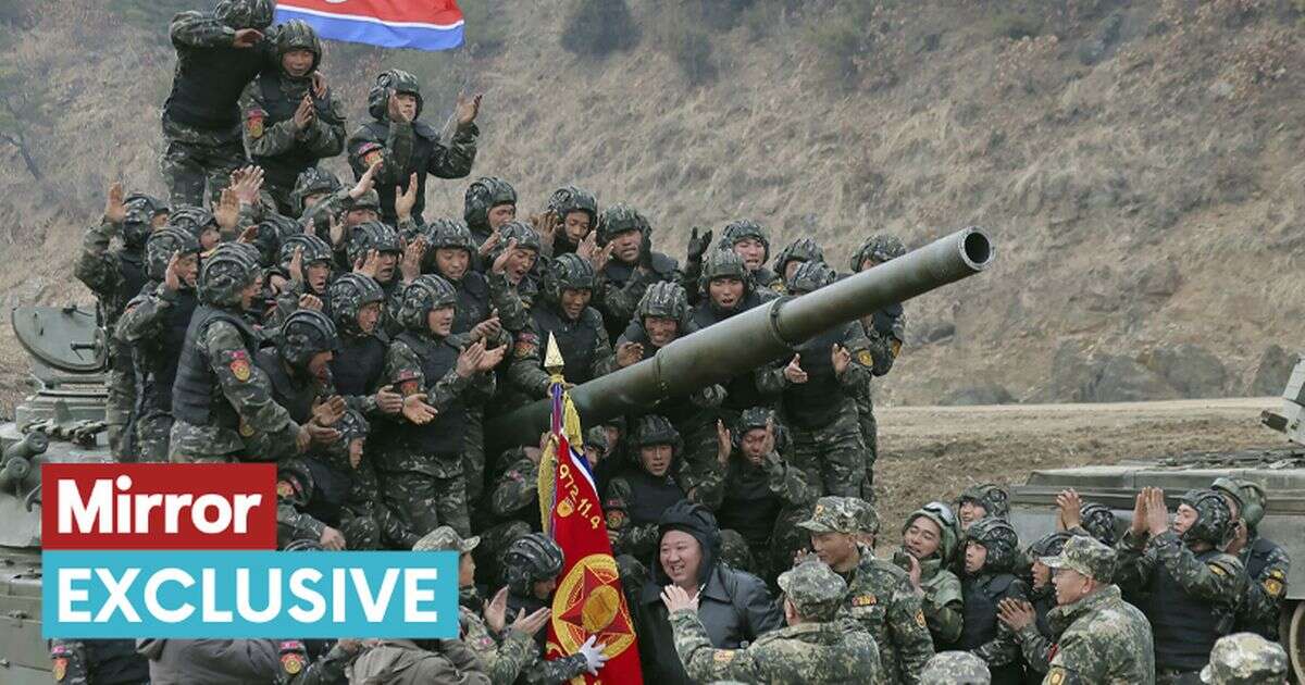 'Sitting duck' North Koreans 'have no idea why they're in Ukraine or who they're fighting'