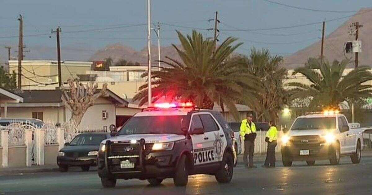 Man dies after getting stuck in Las Vegas palm tree 25ft in the air