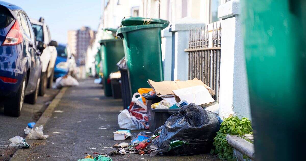 UK city's plan for MONTHLY bin collection sparks furious protest from 10,000 residents