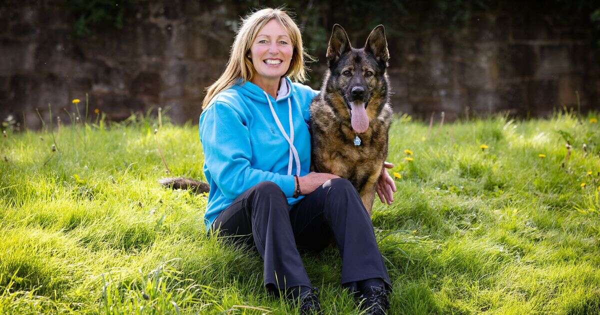 Fury as police dog Zara put down after horror crash over £12k vet bill