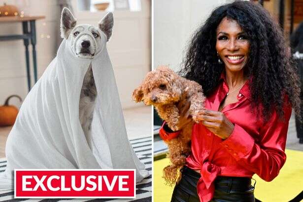 Pop legend Sinitta uses pet poodle to protect her from ghosts after 'crazy stuff'