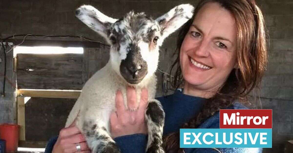 'I quit my job to live in a freezing field with 130 sheep - it changed my life'