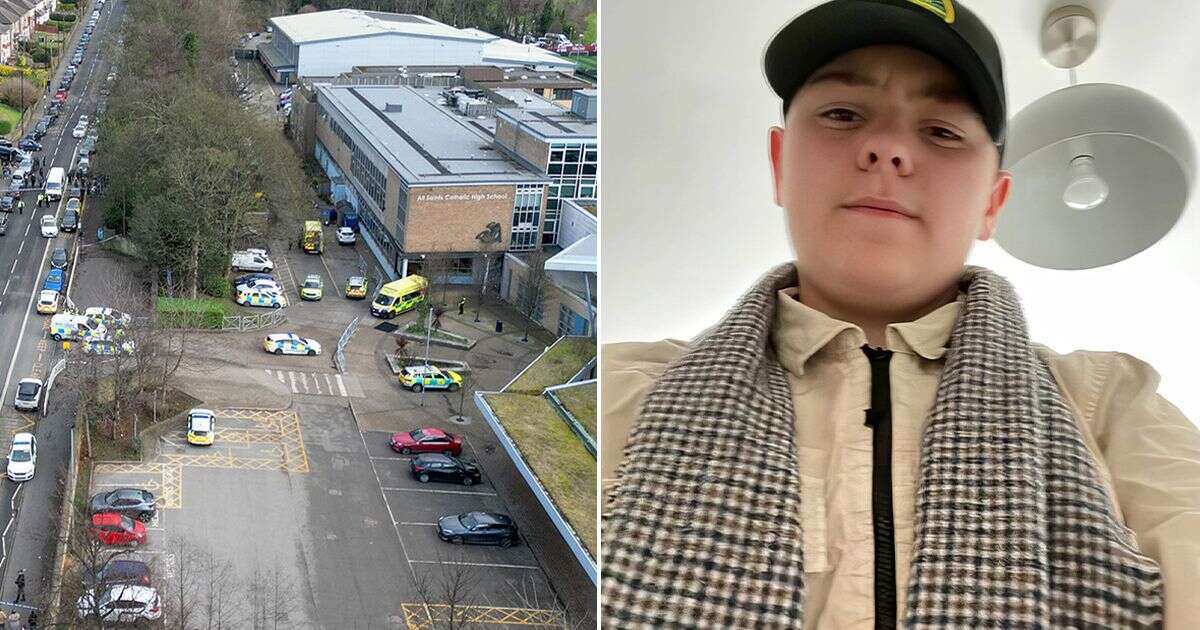 Sheffield school pupils' chilling five words as Harvey Willgoose, 15, dies in knife attack