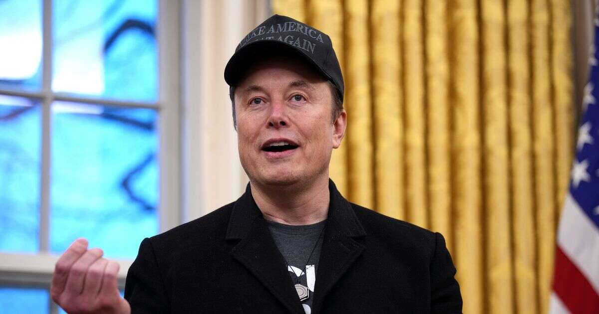 Elon Musk 'fathers secret 13th child' with controversial MAGA influencer