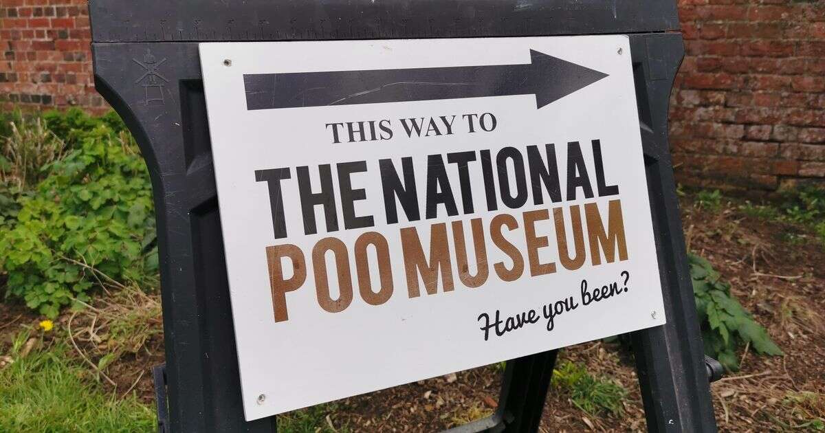 UK's poo museum announces it won't open this year – but you can still visit