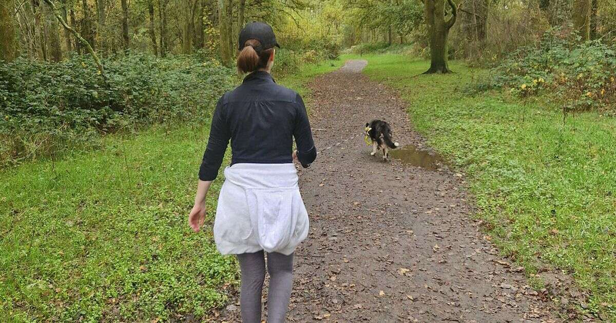 British big cat fears grow as dog walker makes horrifying discovery in woods