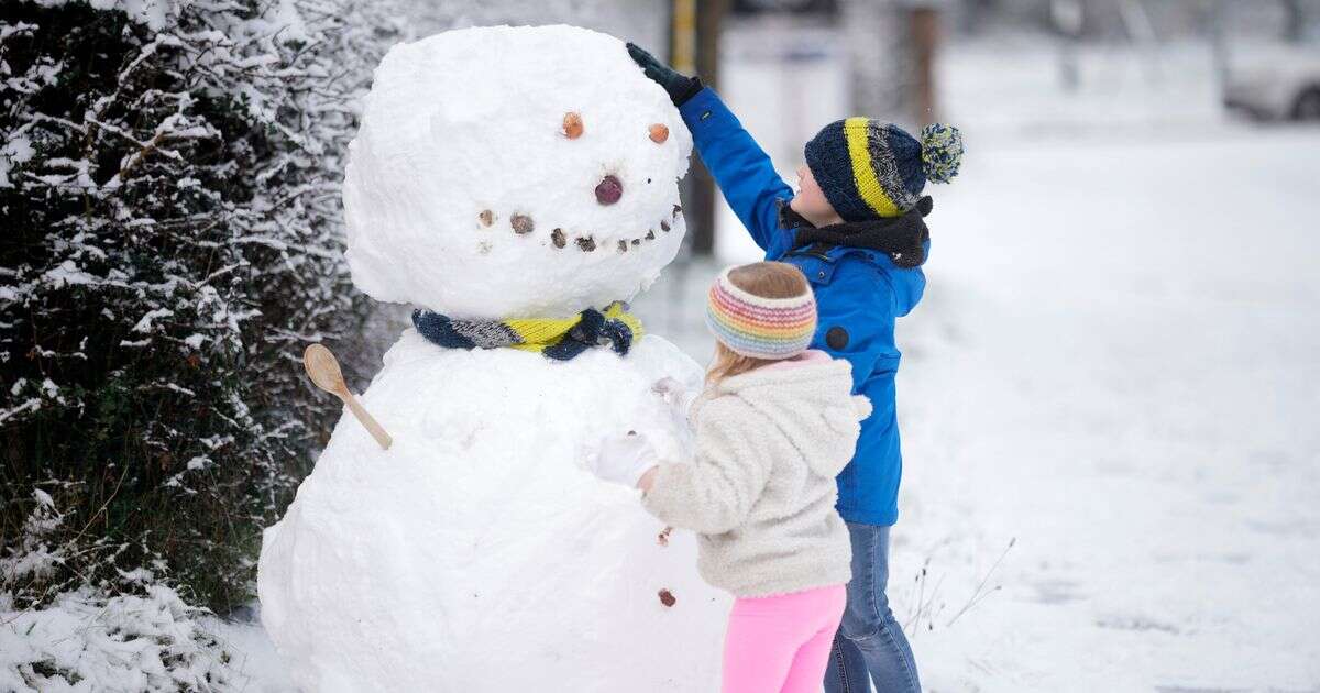 UK snow: Weather forecaster's three-word admission about wintry flurries amid Arctic blast