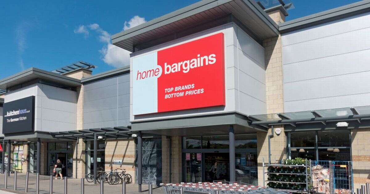 Home Bargains warns shoppers 'pretty' £20 garden decoration 'is selling fast'