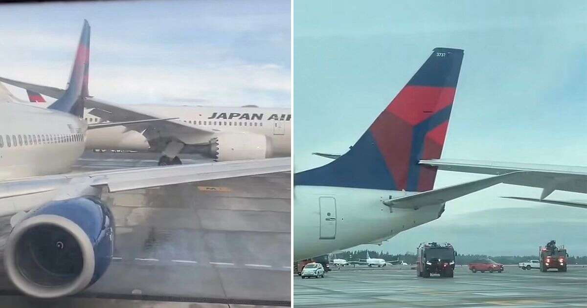 Terrifying moment plane slices off another's tail in horror collision on busy airport tarmac