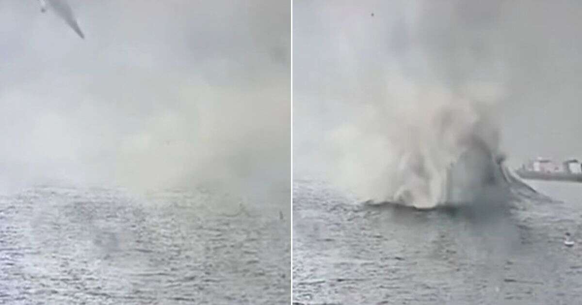 San Diego Bay horror as fighter plane crashes into harbour and explodes