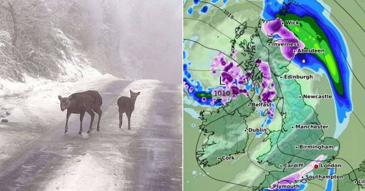 UK snow maps show exact time and date ‘Beast from the East’ will bring 11-inches in just days