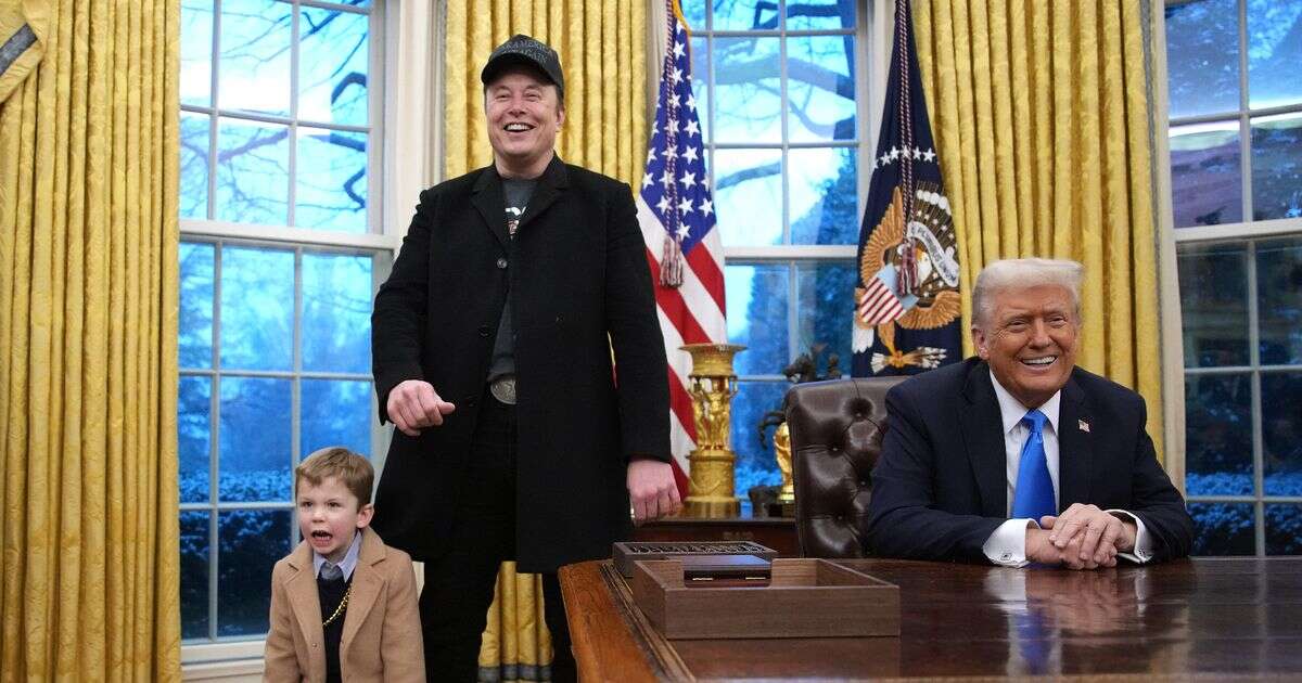 opinion‘Elon’s four-year-old son in Trump's Oval Office was the only adult in the room’