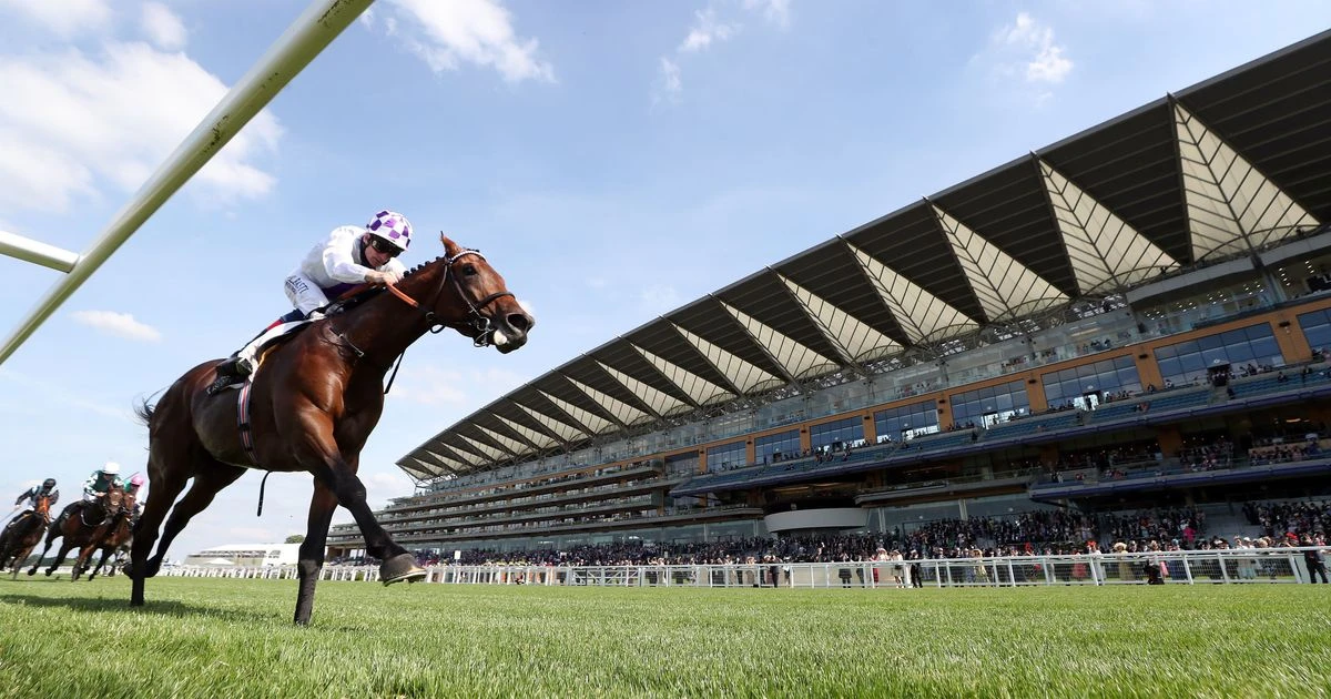 Full results from day one of Royal Ascot as Poetic Flare claims the St James's Palace Stakes
