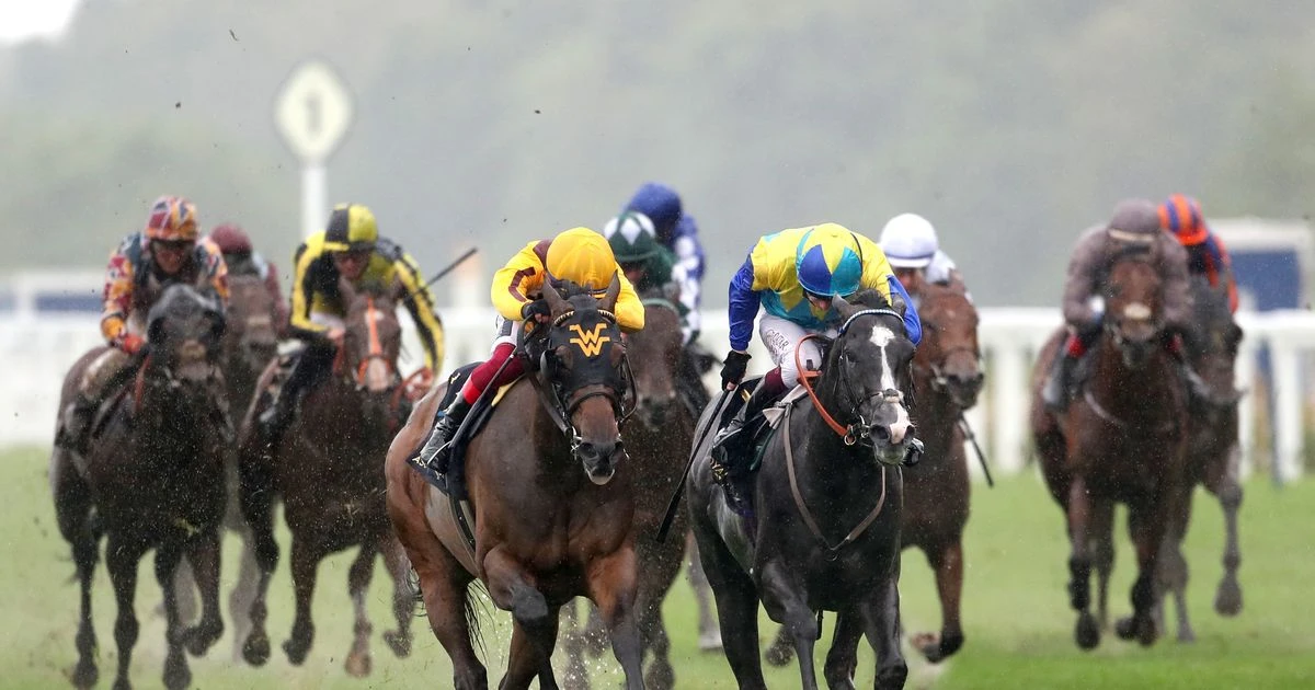 Royal Ascot results: Drama as Dettori and Campanelle given win after enquiry