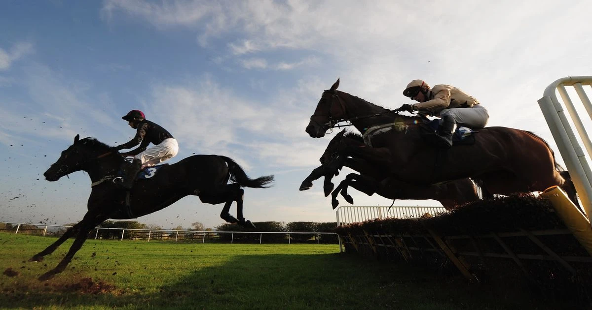 Punter amazing acca turns £6 into £58,000 with four winners in racing results from Hexham