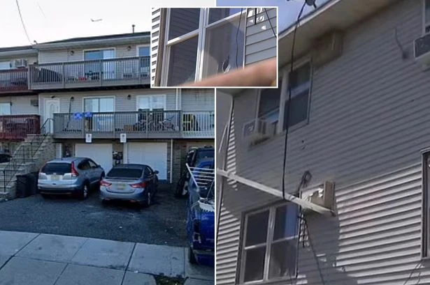 Horror as boy, 3, dies after falling 10ft from window before being mauled by dogs