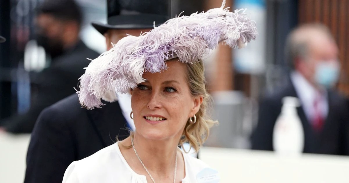 'Sophie Wessex is safe pair of hands royals need in time of distress and disharmony'