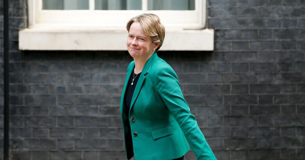 Tory ex-Test and Trace chief Dido Harding applies to become next boss of NHS England